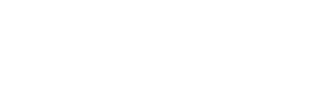 24-orididi-logo-white-300x89